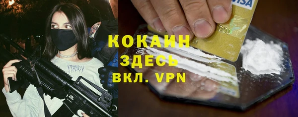гидра Володарск