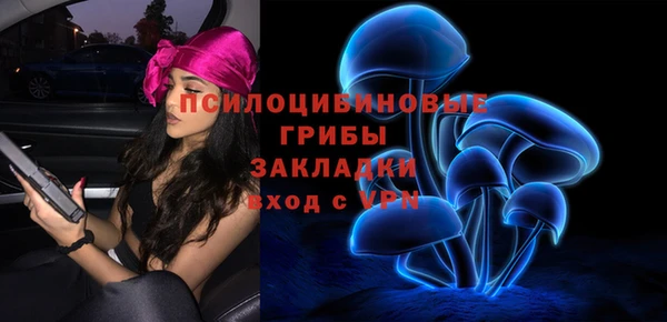 ПСИЛОЦИБИНОВЫЕ ГРИБЫ Волоколамск