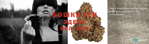 ПСИЛОЦИБИНОВЫЕ ГРИБЫ Волоколамск