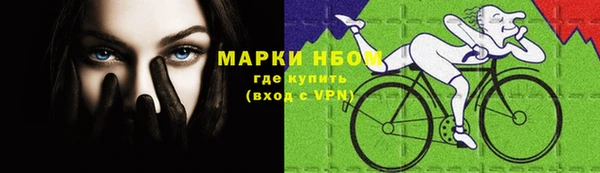 гидра Володарск