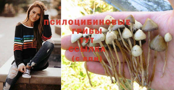 дмт Волосово