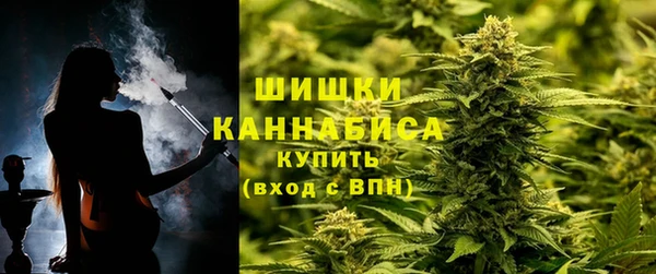 гидра Володарск