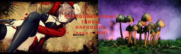 ПСИЛОЦИБИНОВЫЕ ГРИБЫ Волоколамск